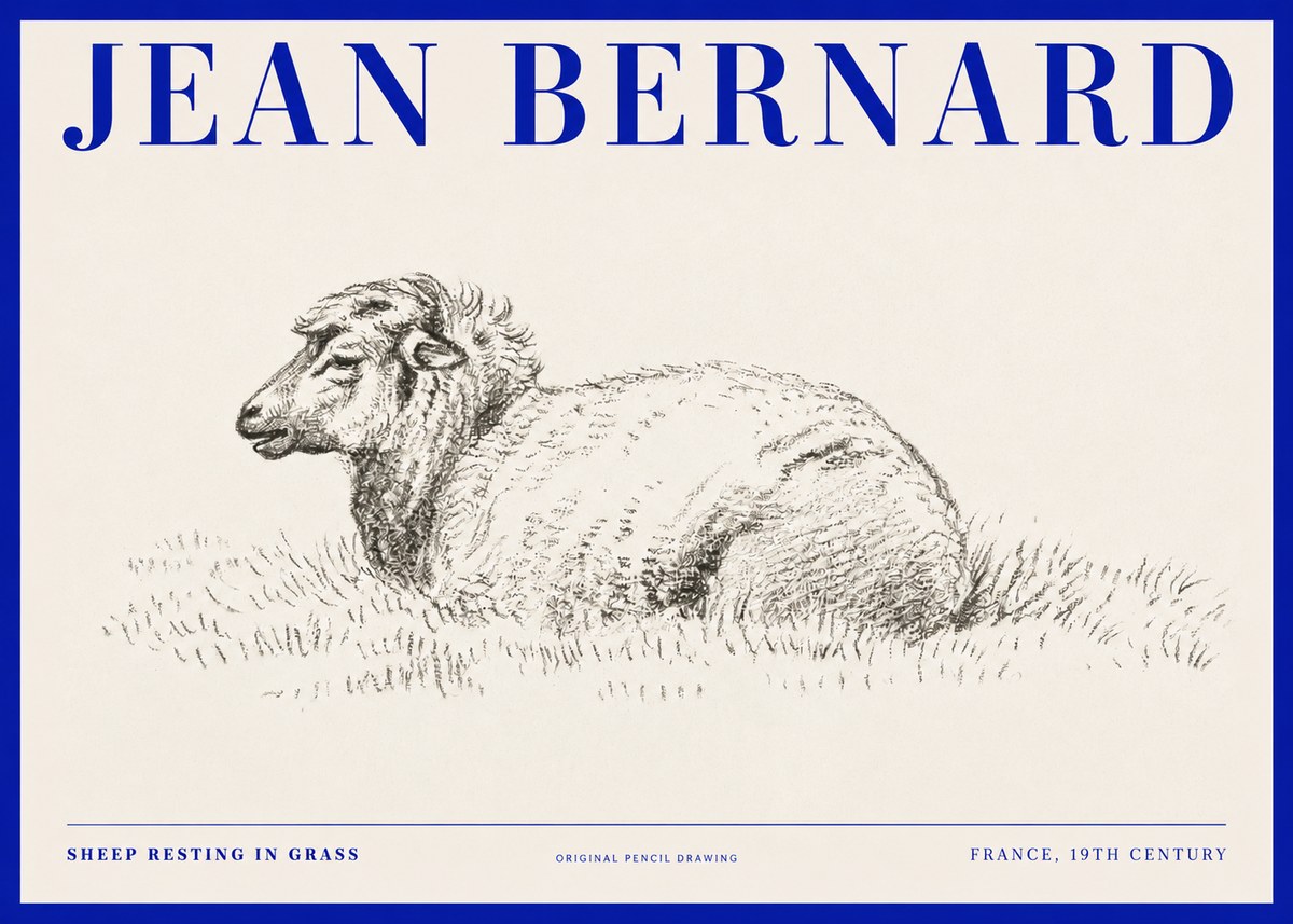Jean Bernard Sheep Resting in Grass No2 - Poszter