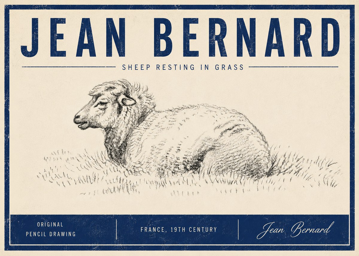 Jean Bernard Sheep Resting in Grass No5 - Poszter