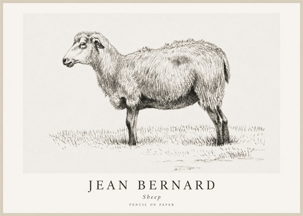 Jean Bernard Sheep No1 - Poszter
