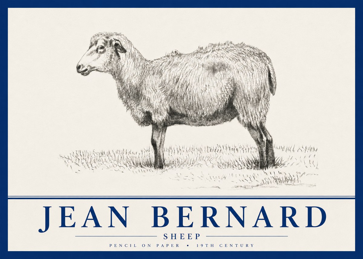 Jean Bernard Sheep No4 - Poszter