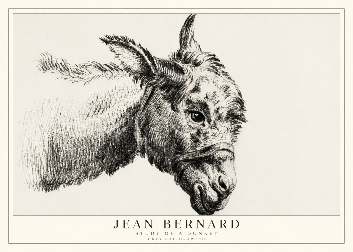 Jean Bernard Study of a Donkey I No1 - Poszter