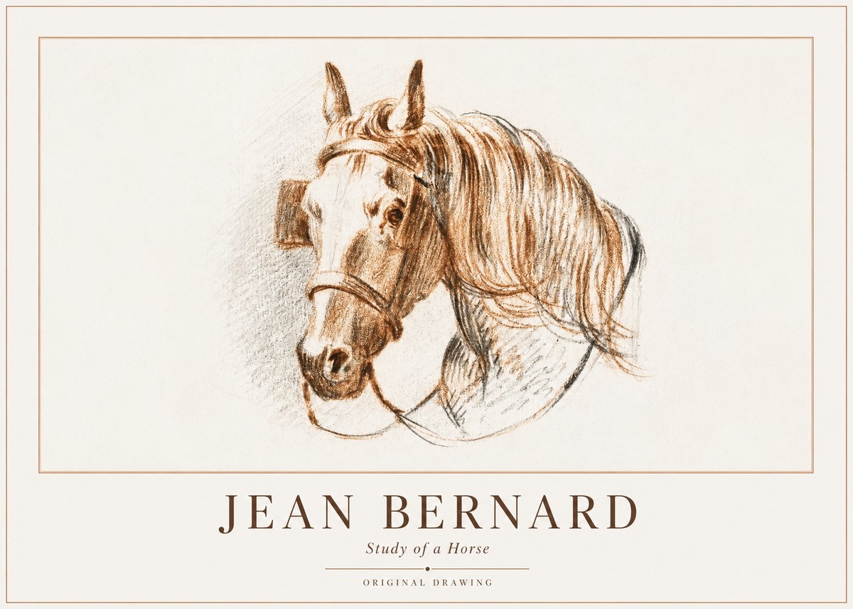 Jean Bernard Study of a Horse V No1 - Poszter