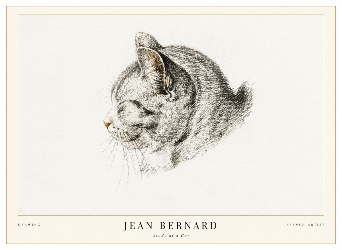 Jean Bernard Study of a Cat I No1 - Poszter