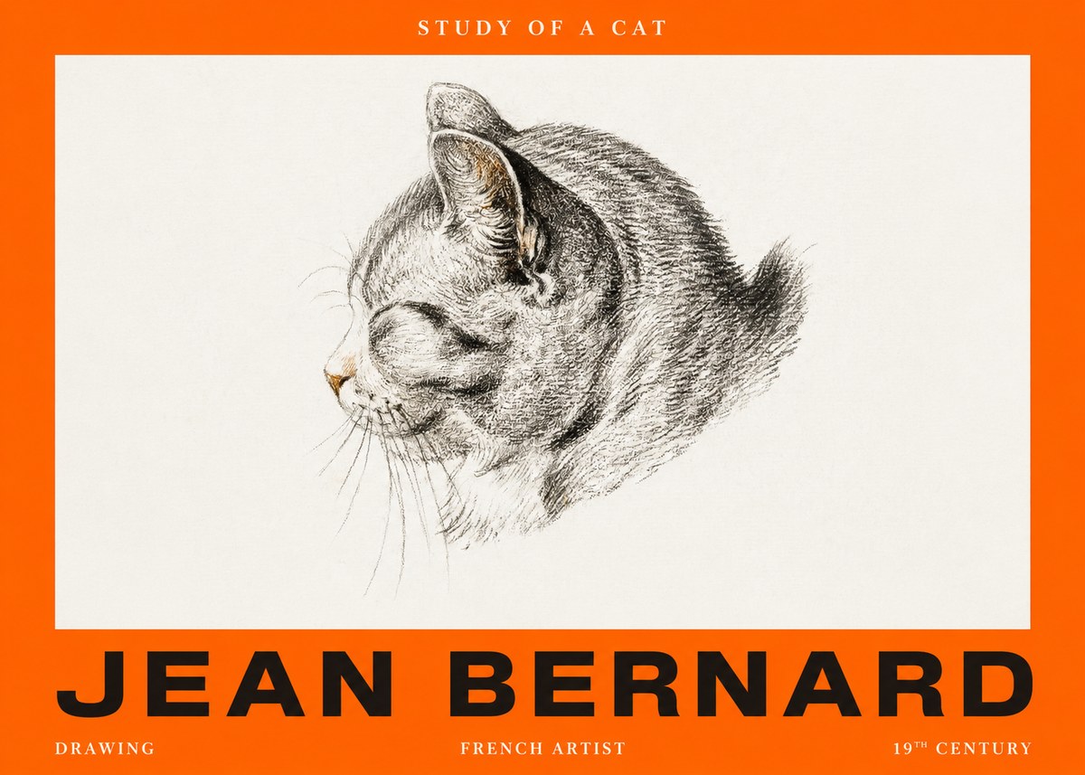 Jean Bernard Study of a Cat I No2 - Poszter