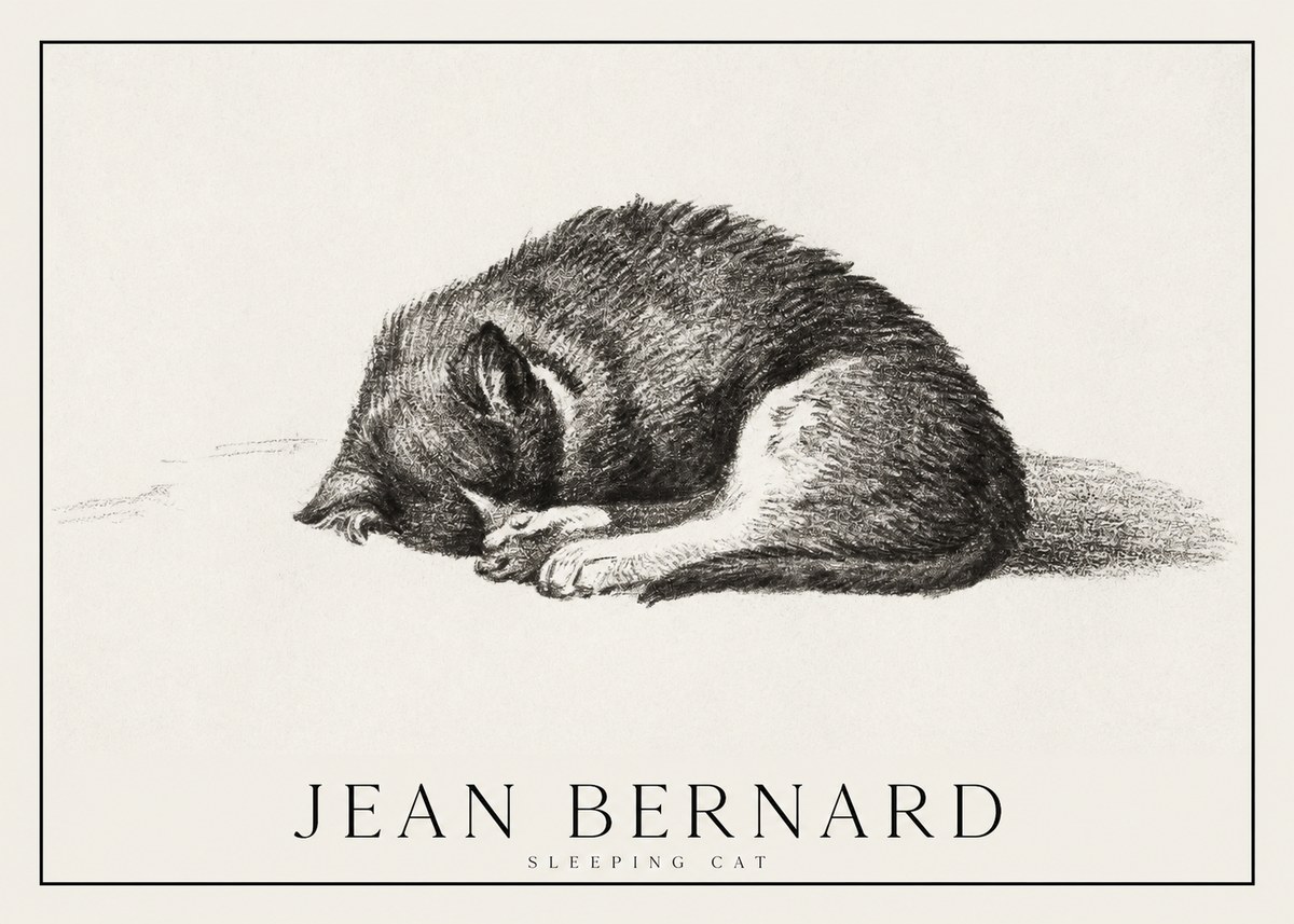 Jean Bernard Sleeping Cat III No1 - Poszter