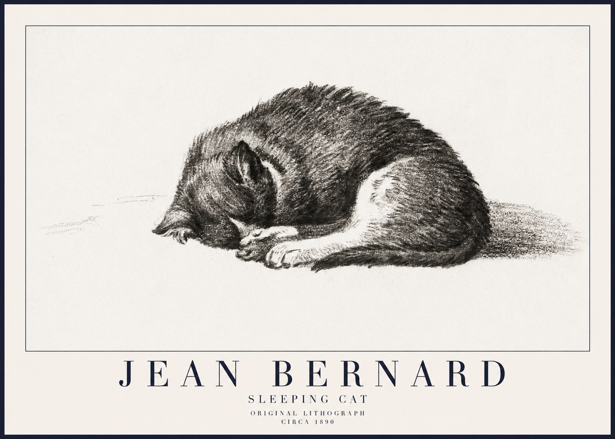 Jean Bernard Sleeping Cat III No6 - Poszter