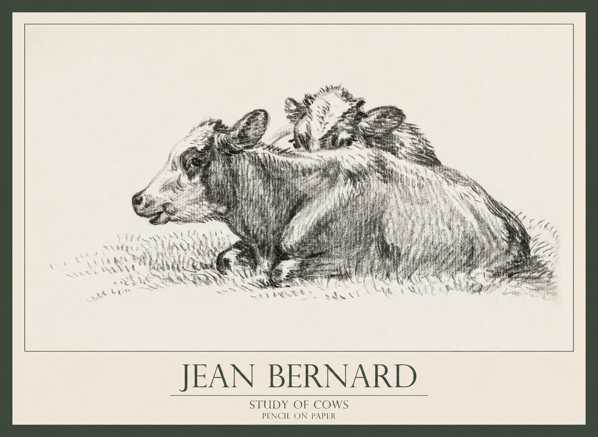Jean Bernard Study of Cows No1 - Poszter