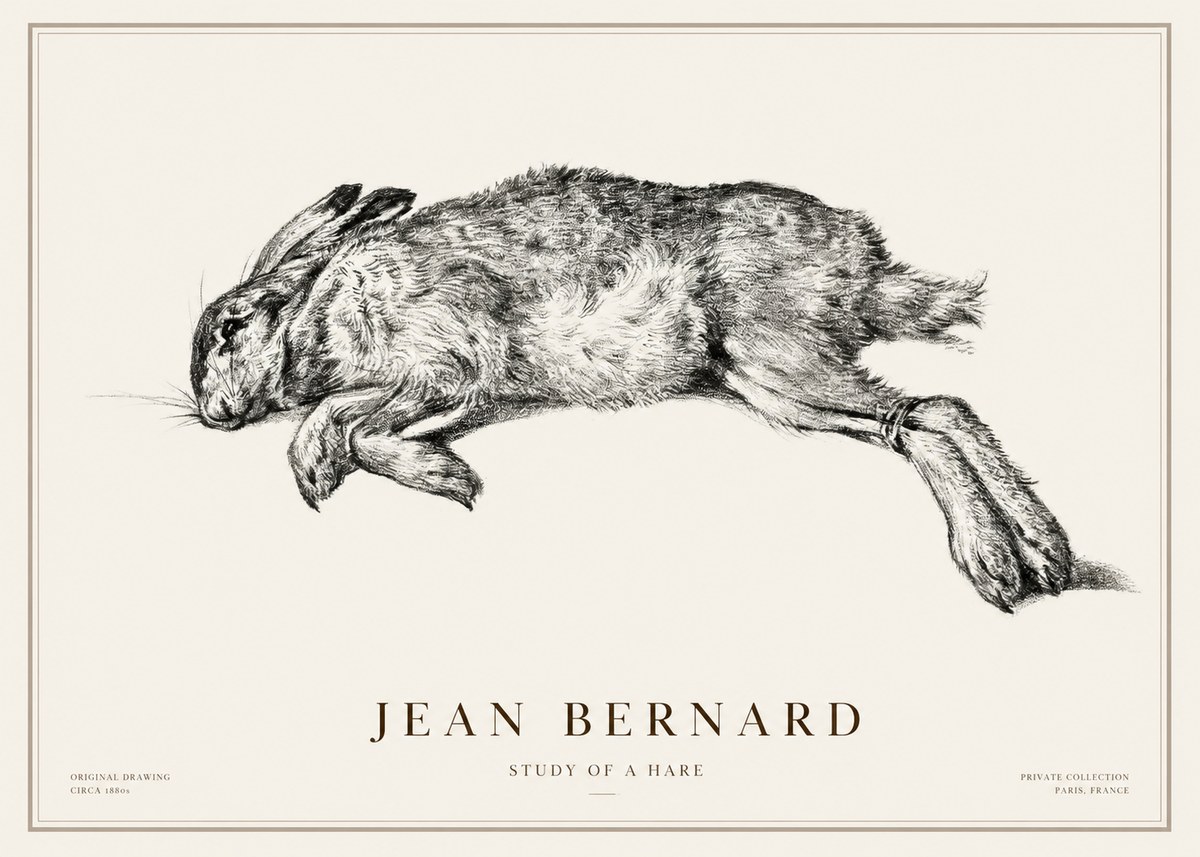 Jean Bernard Study of a Rabbit No3 - Poszter