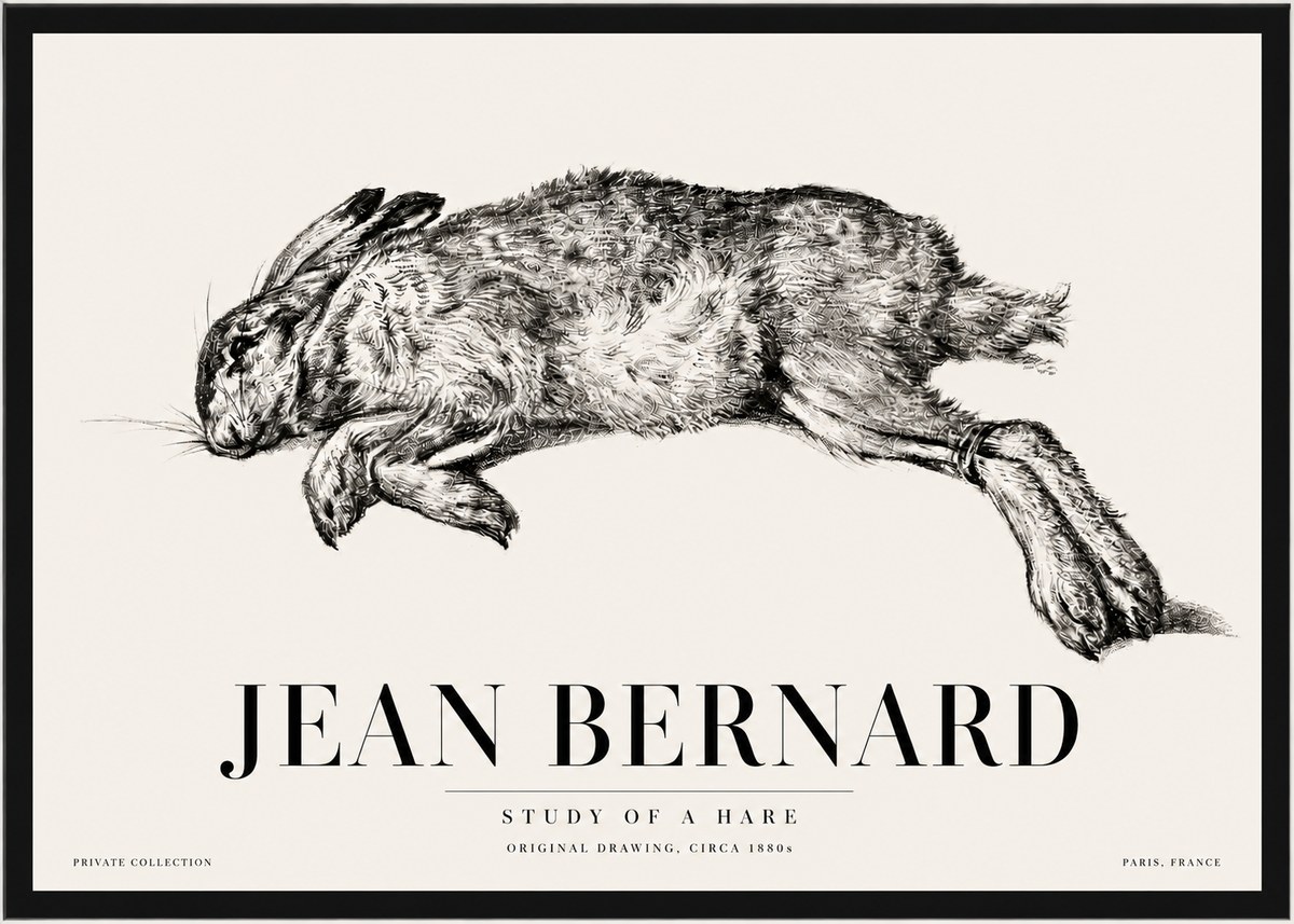 Jean Bernard Study of a Rabbit No5 - Poszter