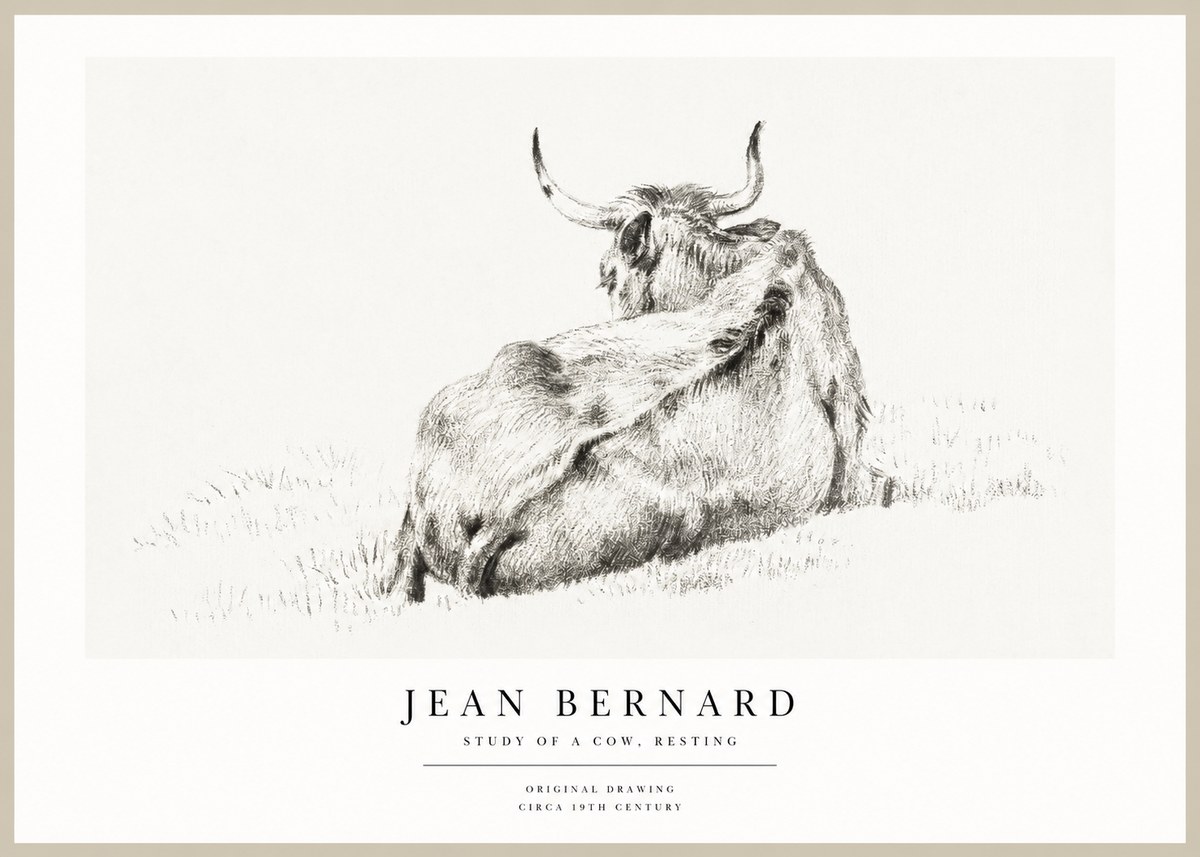 Jean Bernard Resting Bovine - Study in Graphite No2 - Poszter