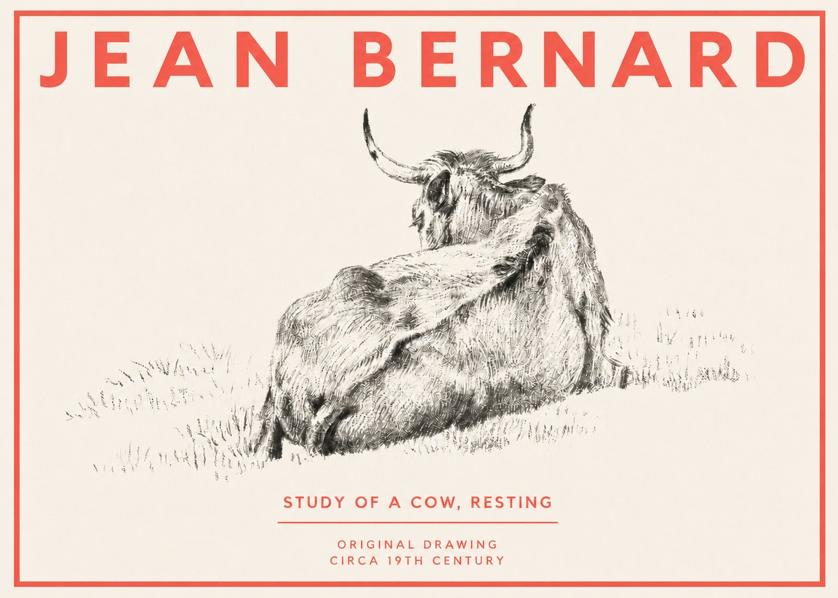 Jean Bernard Resting Bovine - Study in Graphite No4 - Poszter
