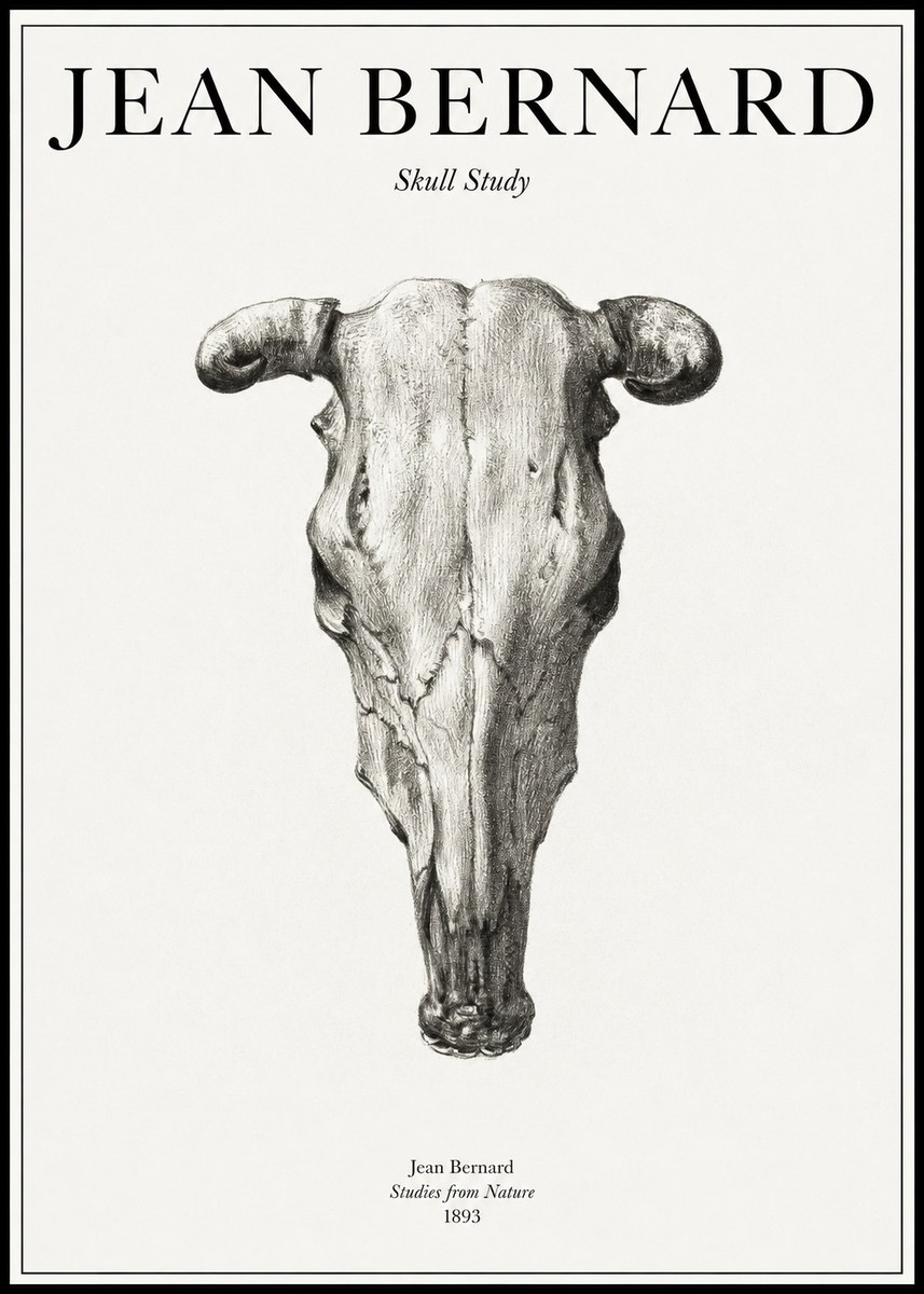 Jean Bernard Skull Study No1 - Poszter