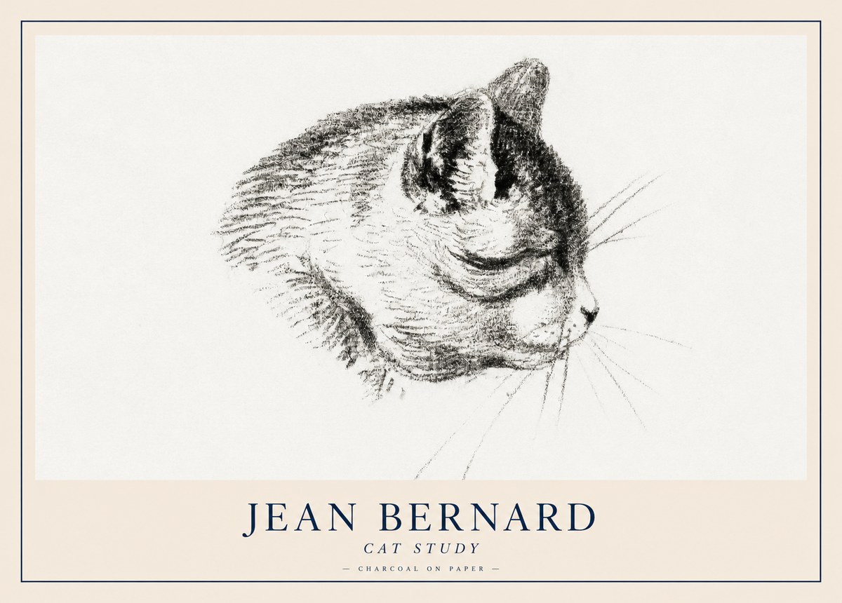 Jean Bernard Cat Study IV No2 - Poszter
