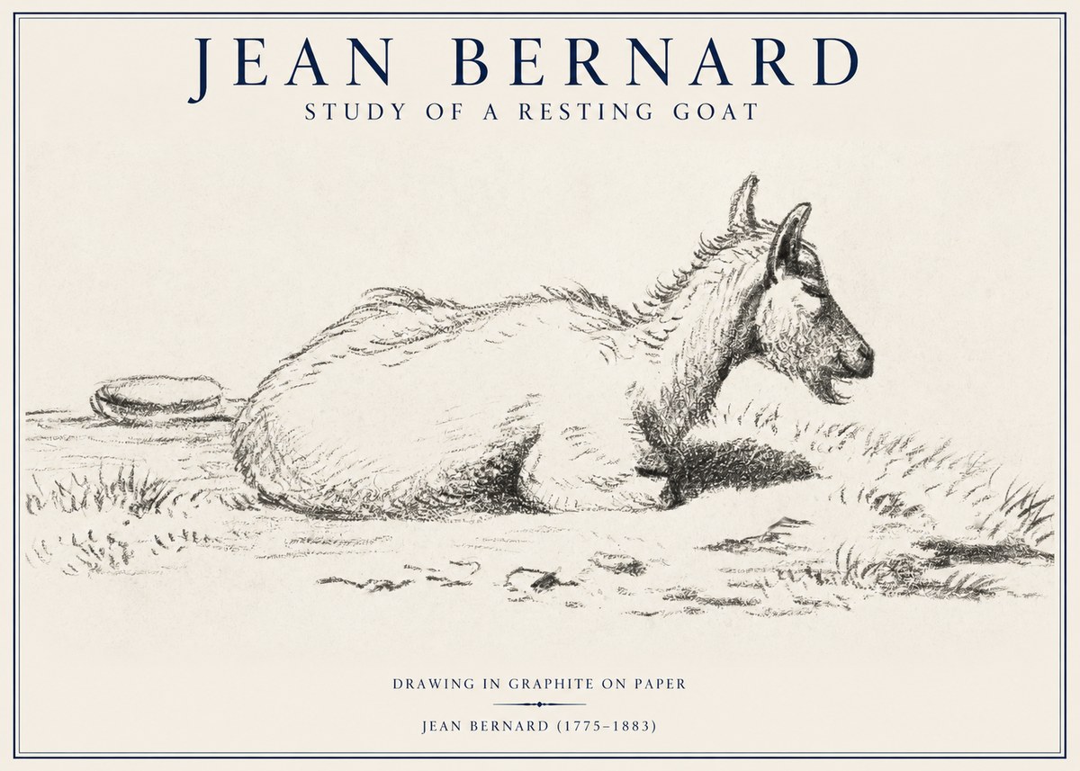 Jean Bernard Study of a Resting Goat No1 - Poszter