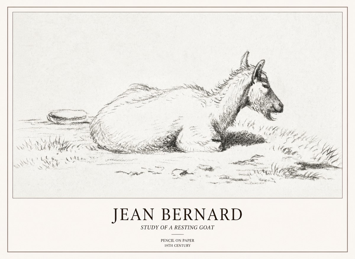 Jean Bernard Study of a Resting Goat No2 - Poszter
