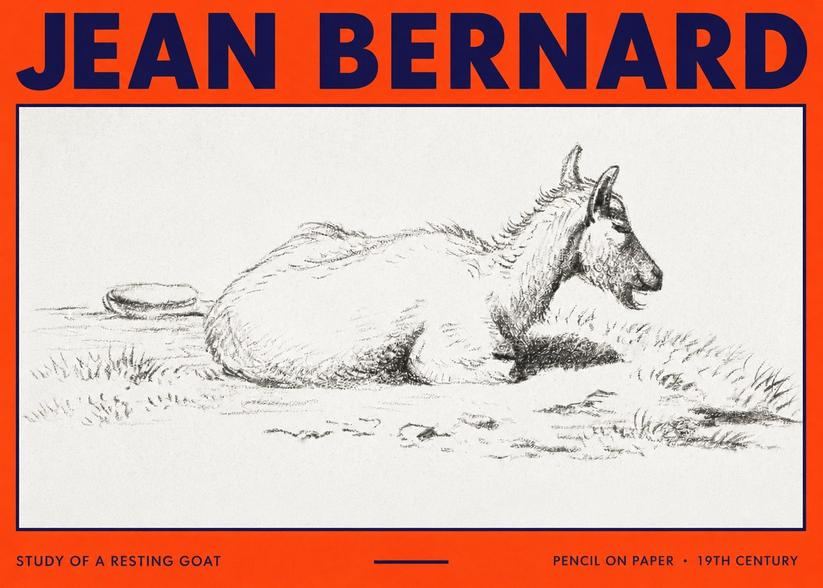 Jean Bernard Study of a Resting Goat No3 - Poszter