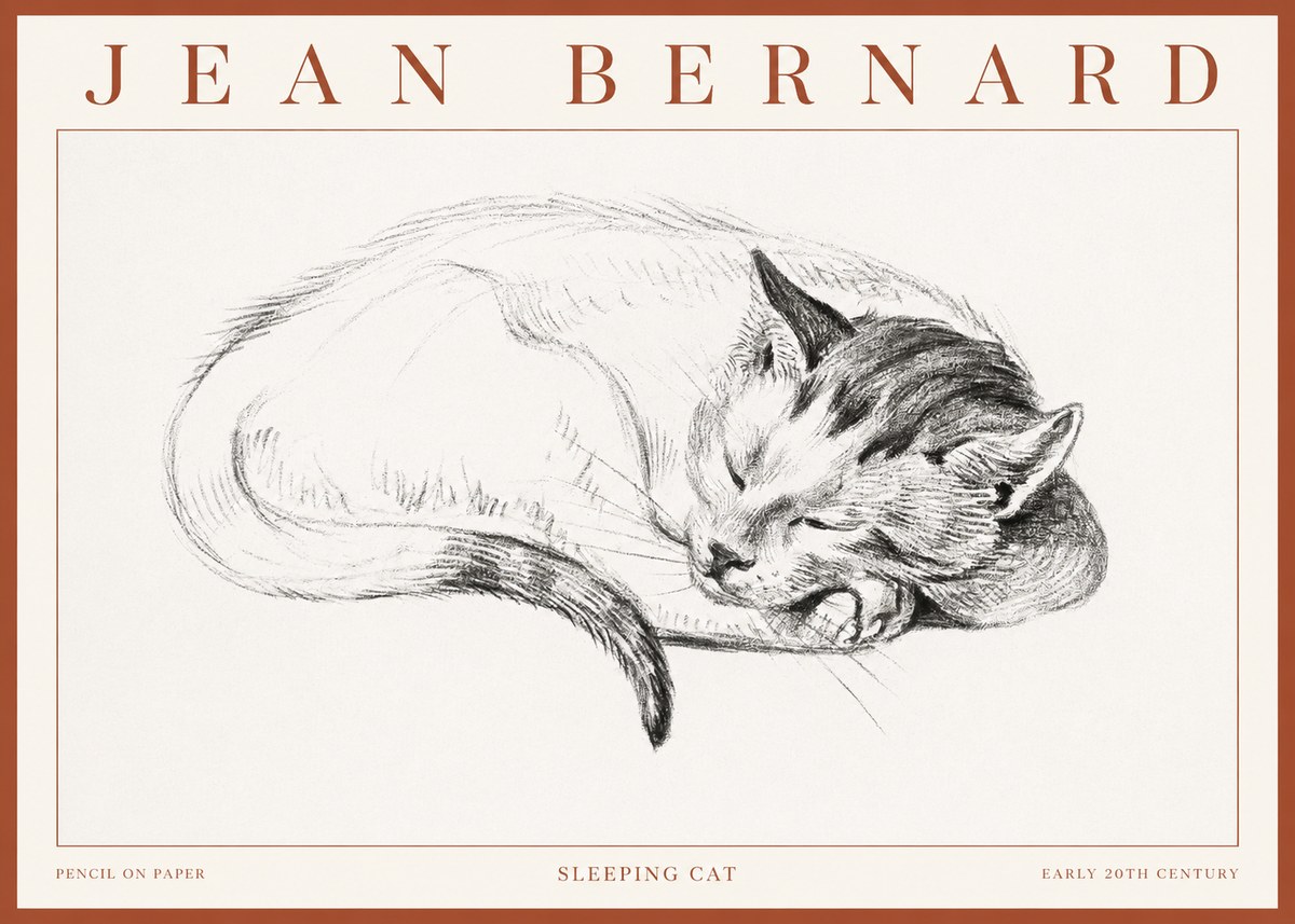 Jean Bernard Sleeping Cat IV No3 - Poszter