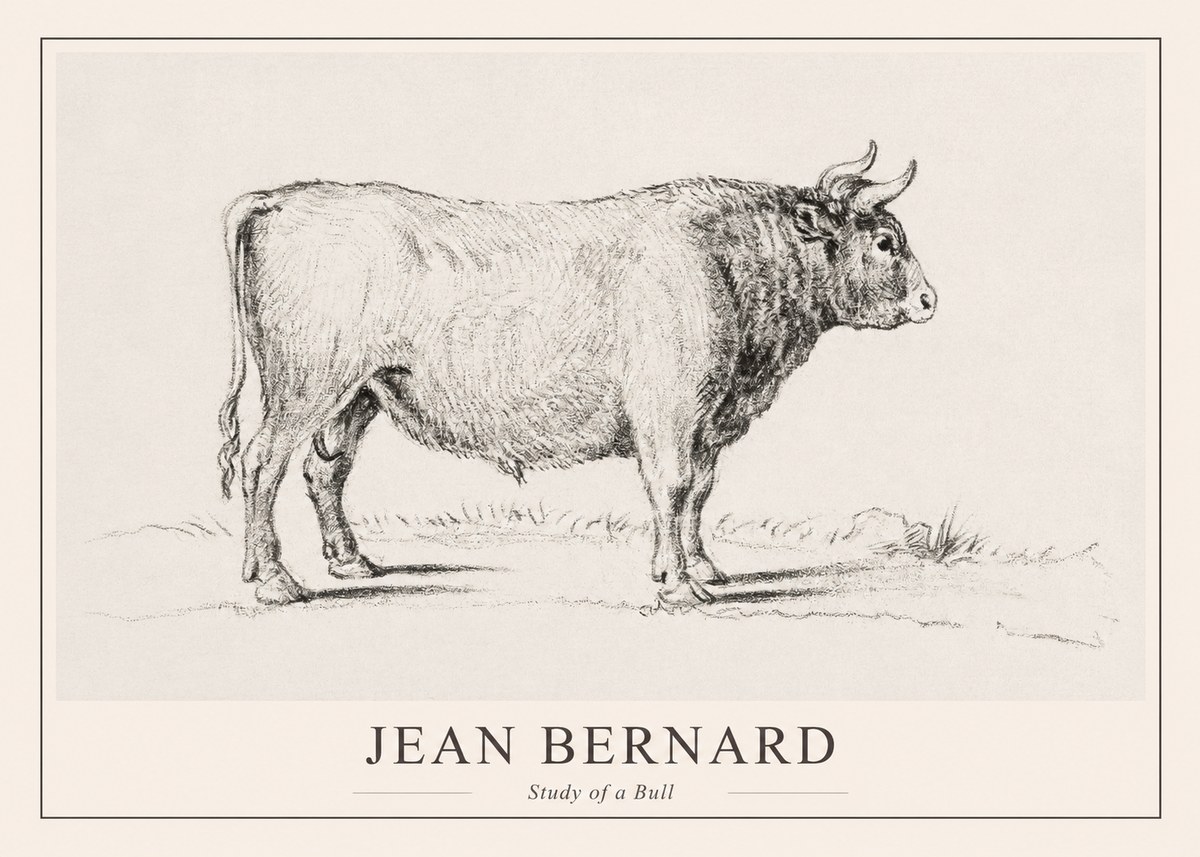 Jean Bernard Study of a Bull I No1 - Poszter