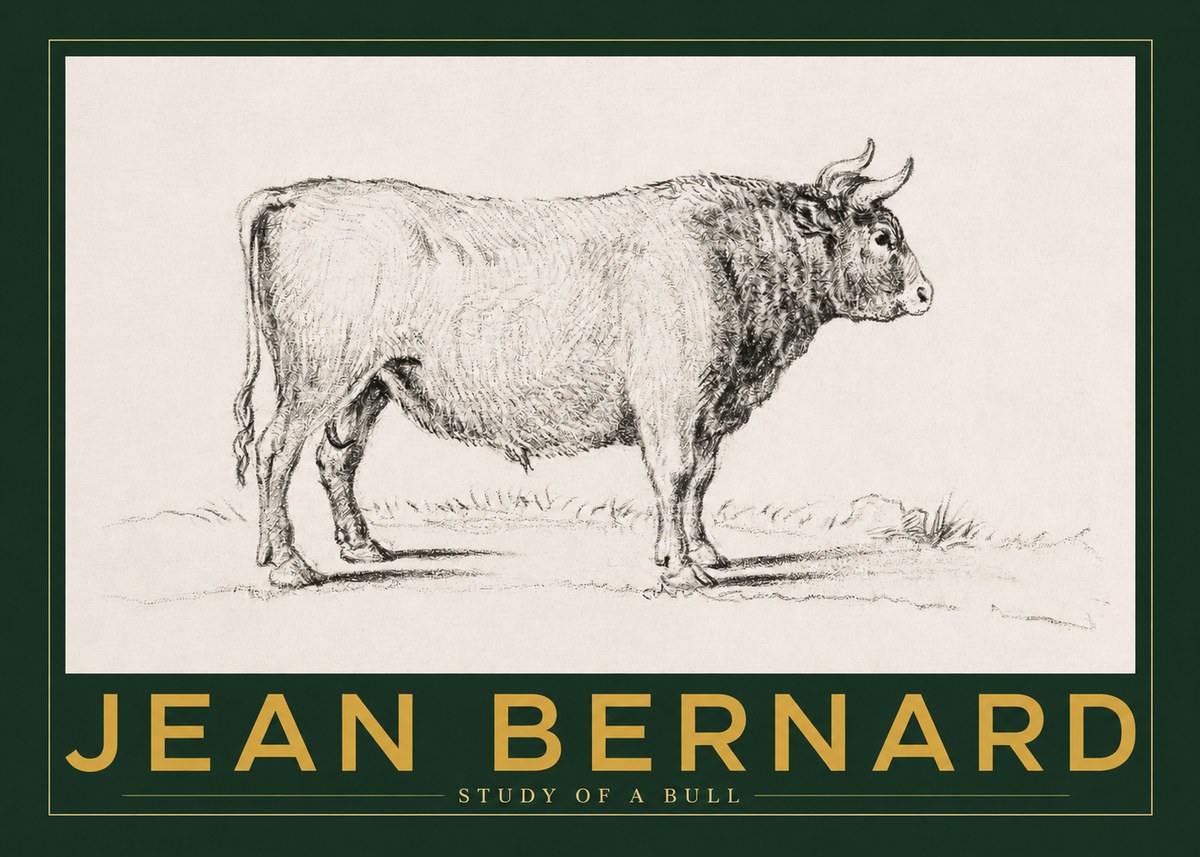Jean Bernard Study of a Bull I No2 - Poszter