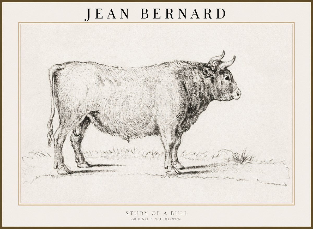 Jean Bernard Study of a Bull I No3 - Poszter