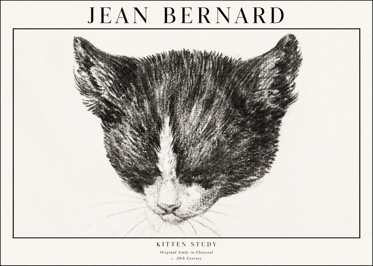 Jean Bernard Cat Study V No4 - Poszter
