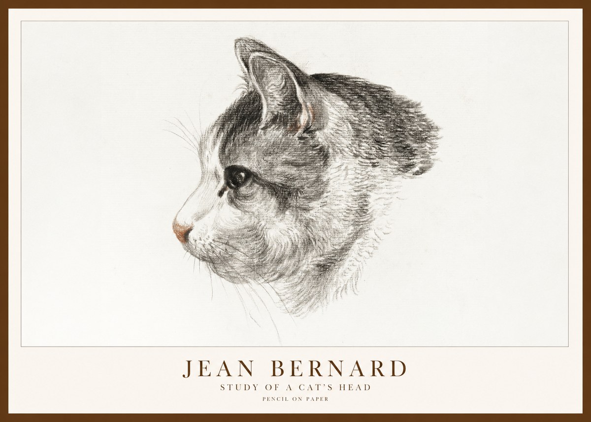 Jean Bernard Cat Study, Profile No2 - Poszter