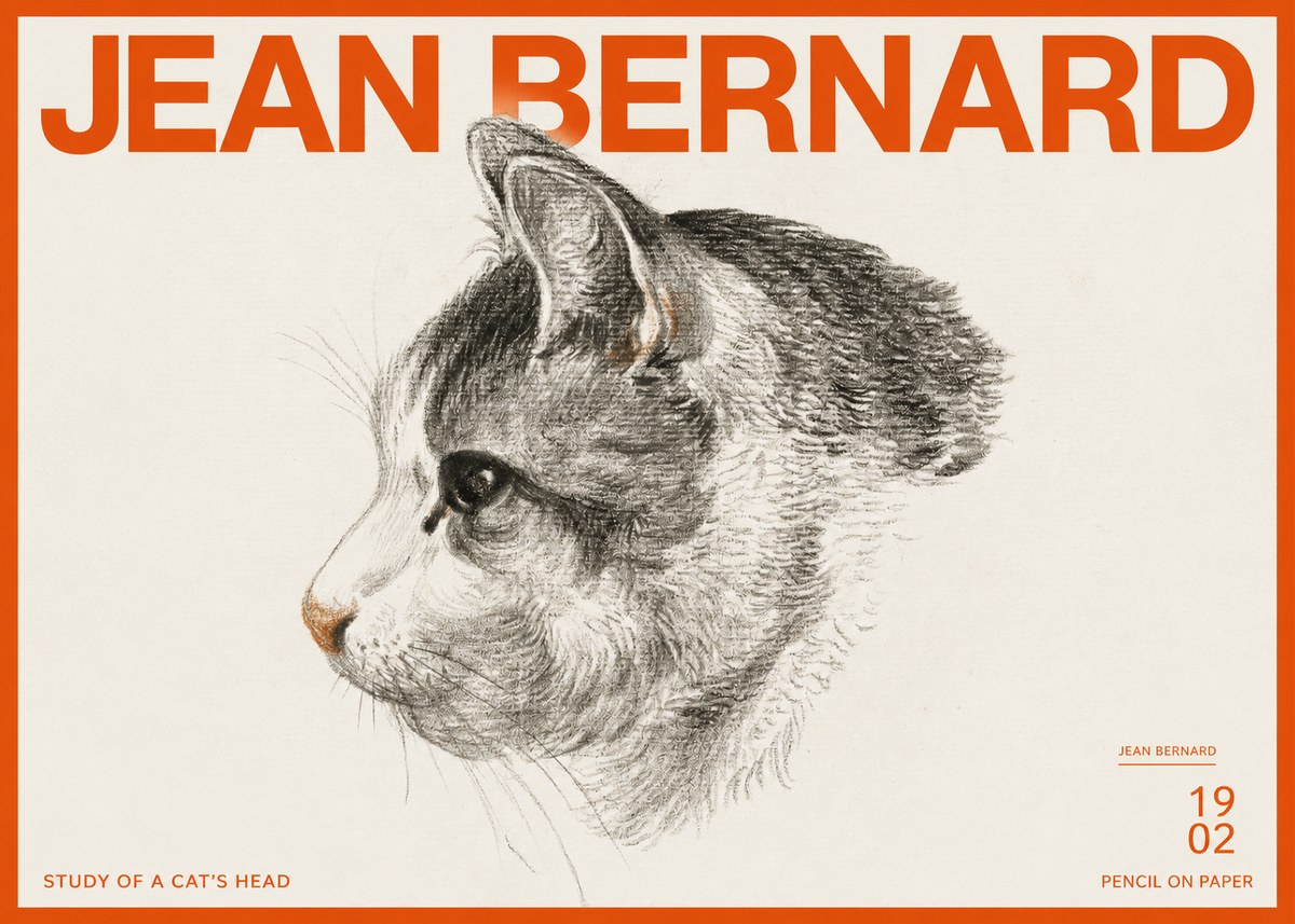 Jean Bernard Cat Study, Profile No3 - Poszter