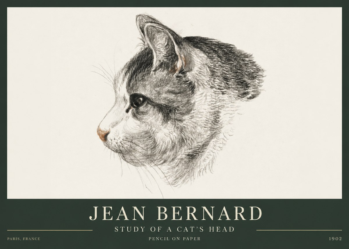 Jean Bernard Cat Study, Profile No4 - Poszter