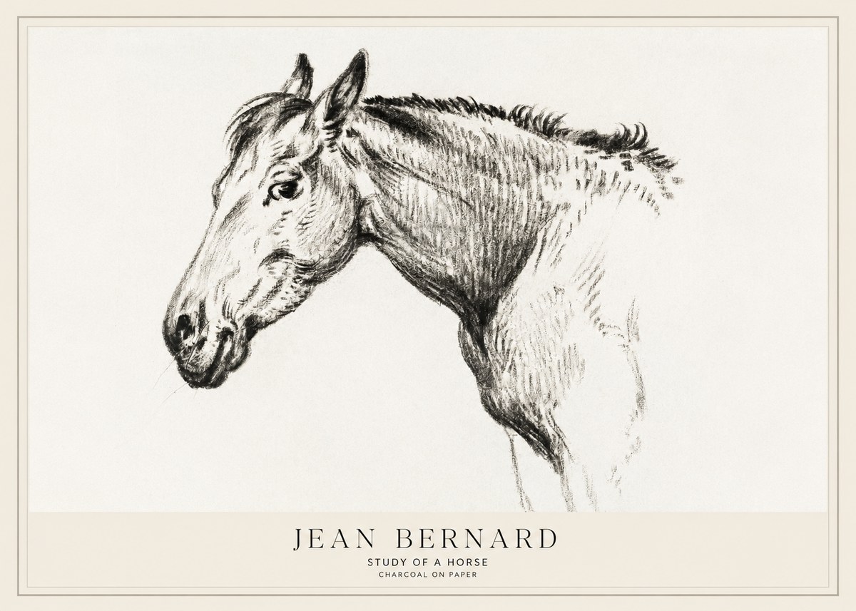 Jean Bernard Study of a Horse VI No1 - Poszter