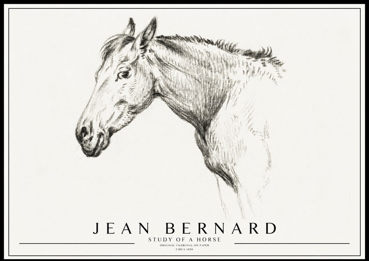 Jean Bernard Study of a Horse VI No3 - Poszter