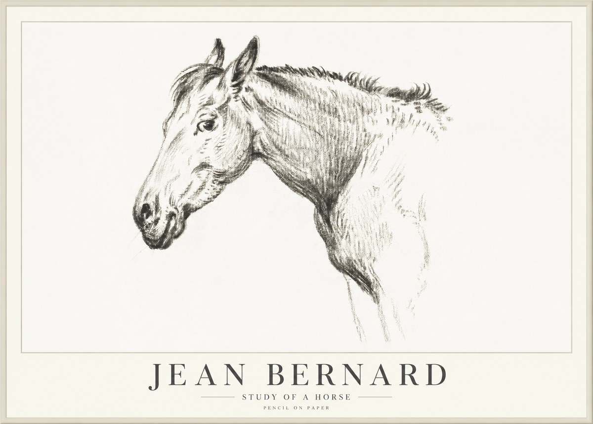 Jean Bernard Study of a Horse VI No4 - Poszter