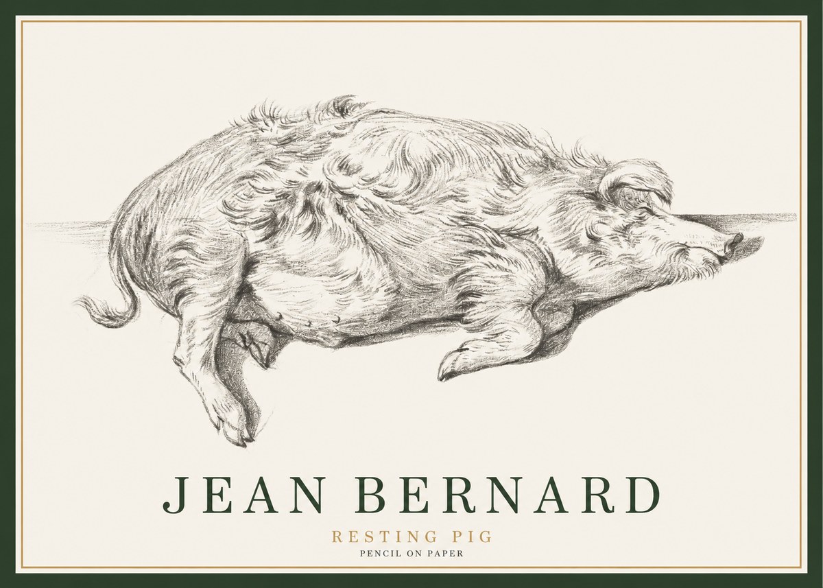 Jean Bernard Study of a Pig I No3 - Poszter
