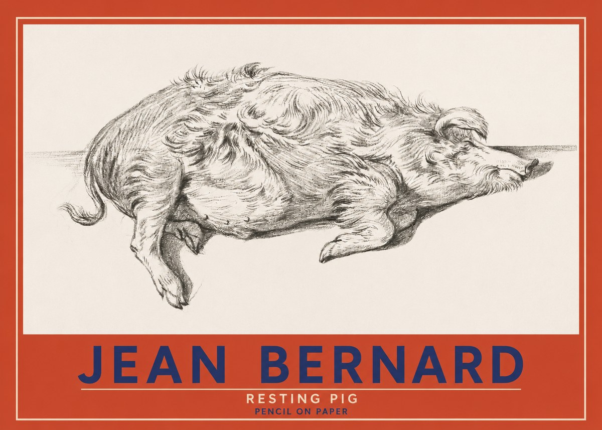 Jean Bernard Study of a Pig I No4 - Poszter