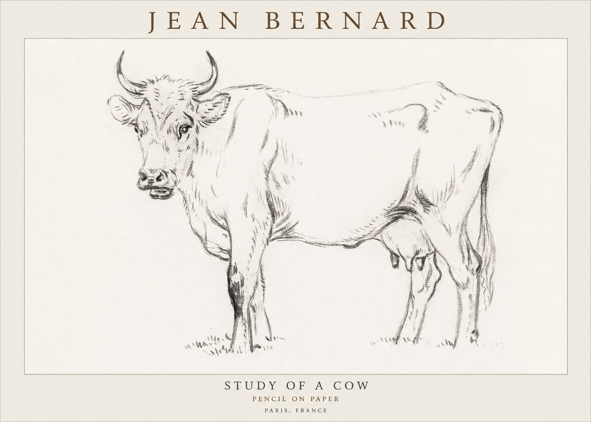 Jean Bernard Study of a Cow VI No3 - Poszter