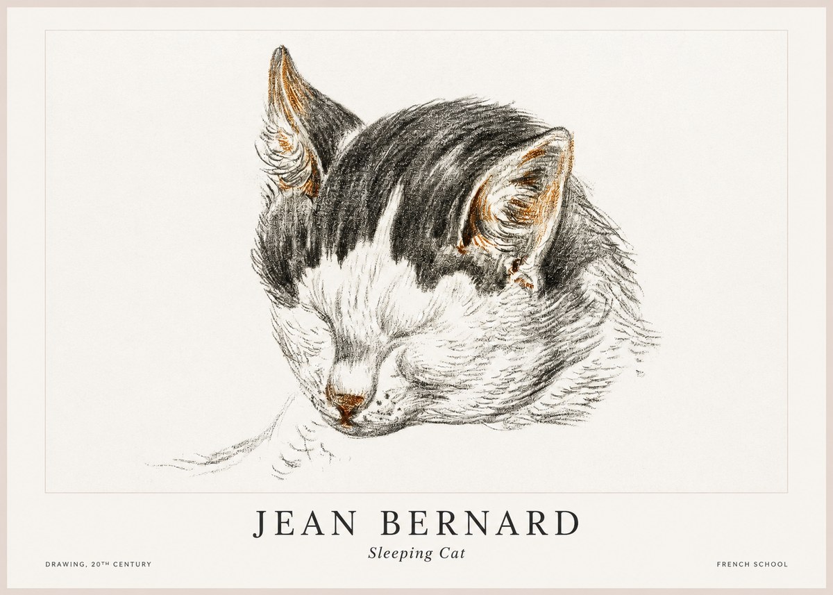 Jean Bernard Sleeping Cat V No1 - Poszter