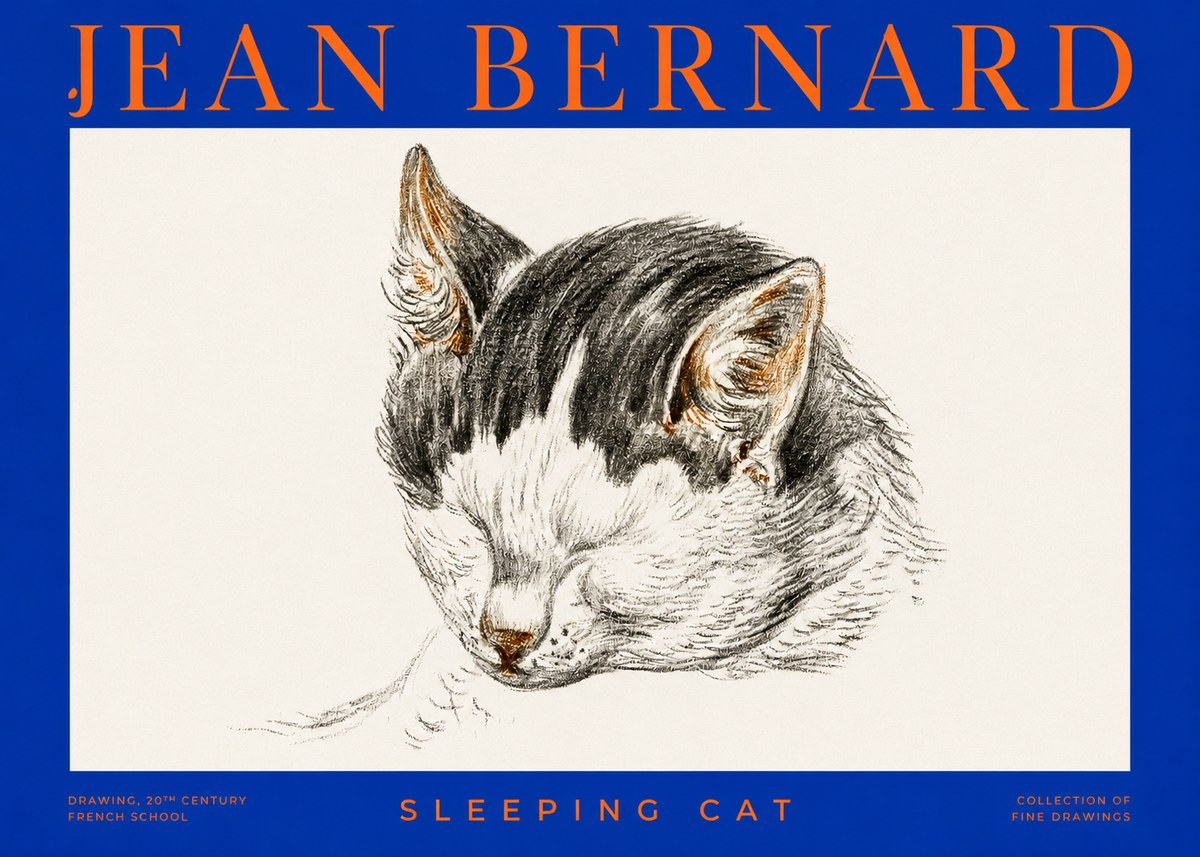 Jean Bernard Sleeping Cat V No2 - Poszter