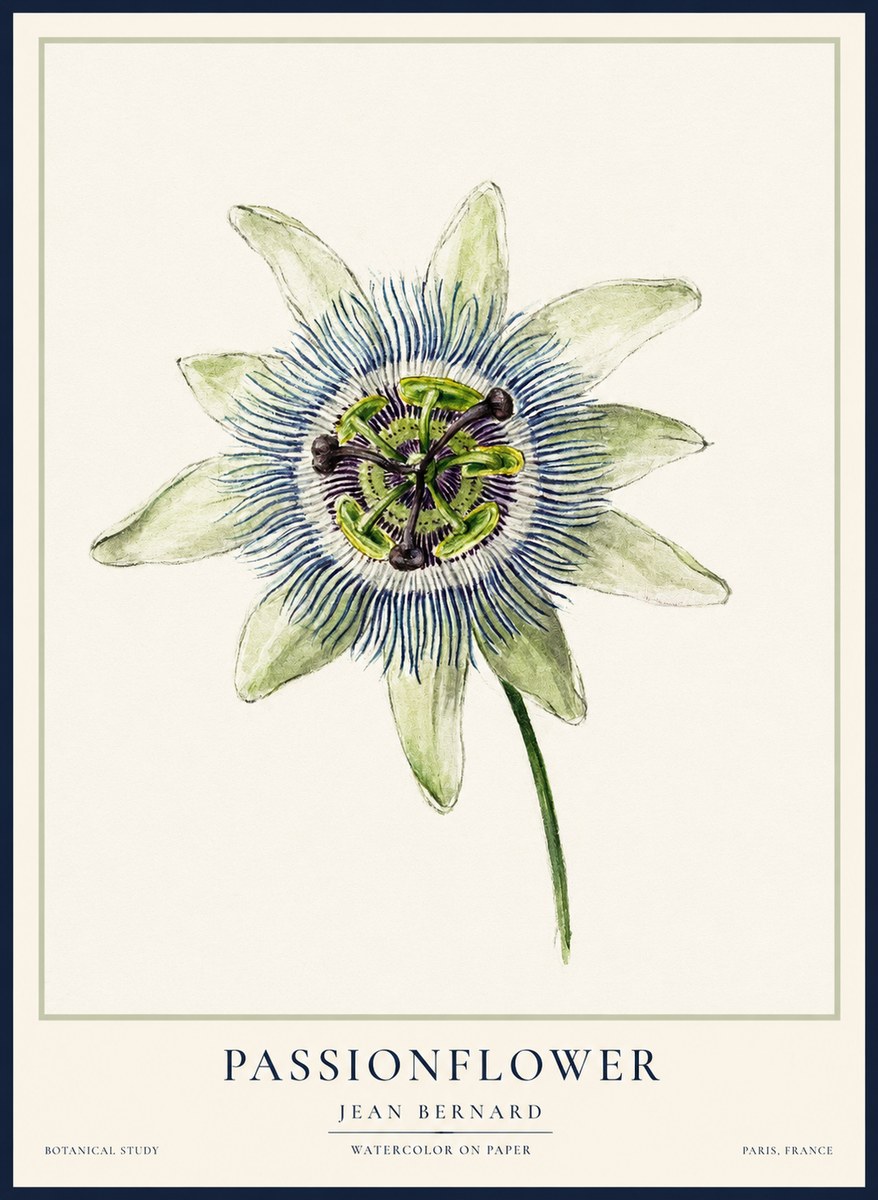 Jean Bernard Passionflower No2 - Poszter