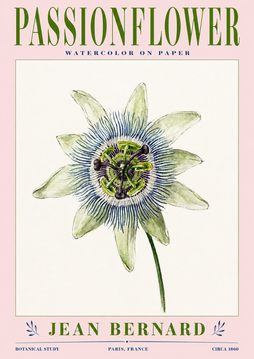 Jean Bernard Passionflower No3 - Poszter