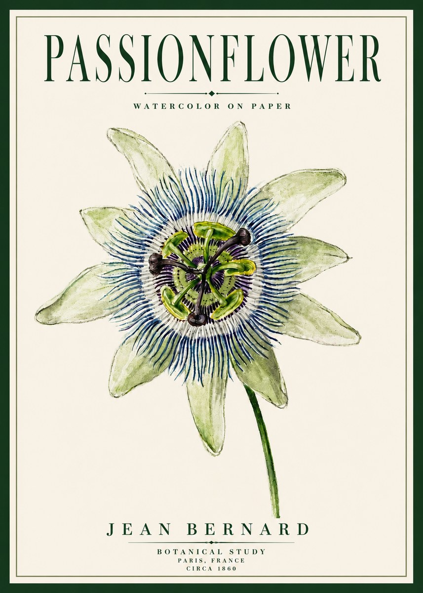 Jean Bernard Passionflower No5 - Poszter