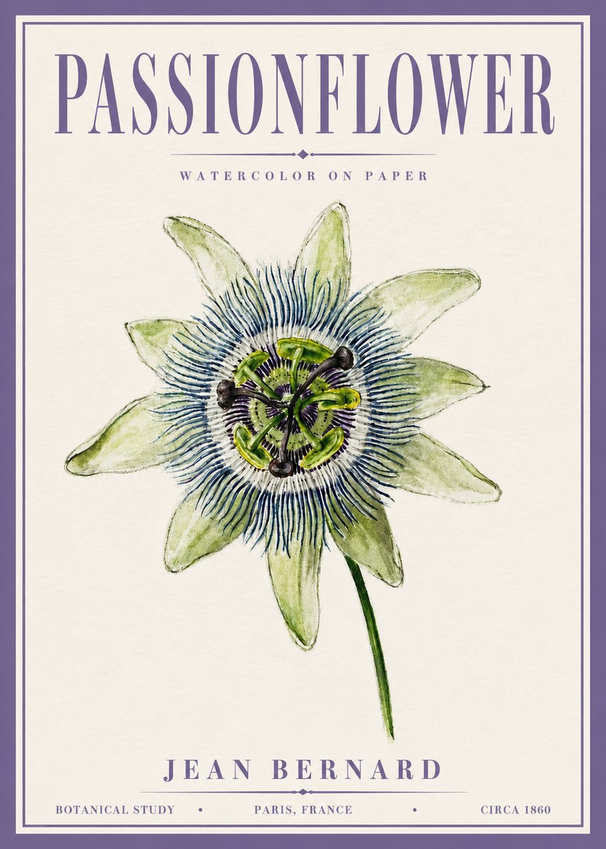 Jean Bernard Passionflower No6 - Poszter
