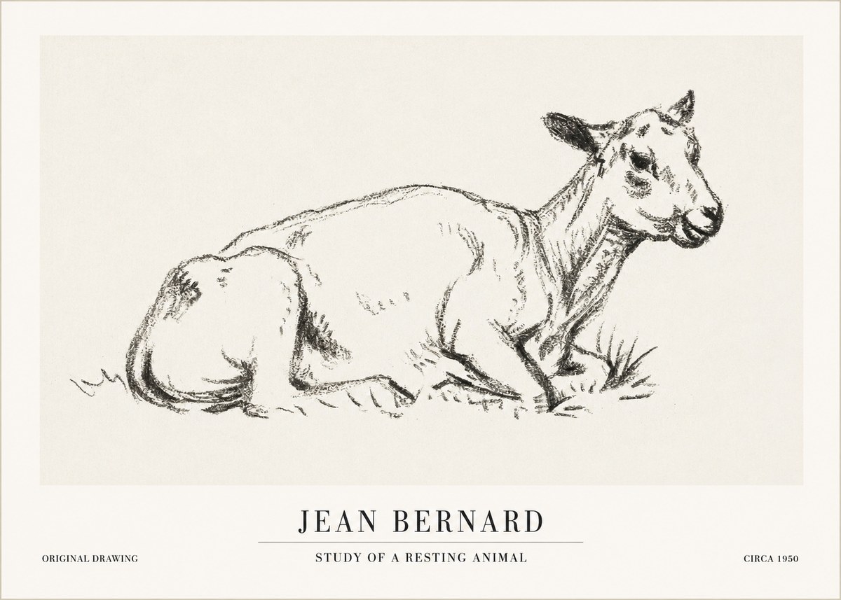 Jean Bernard Study of a Resting Animal No1 - Poszter