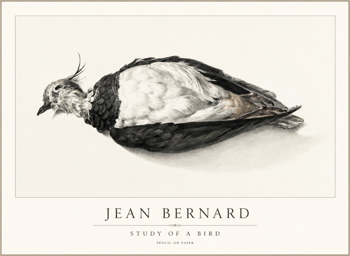 Jean Bernard Study of a Bird II No2 - Poszter