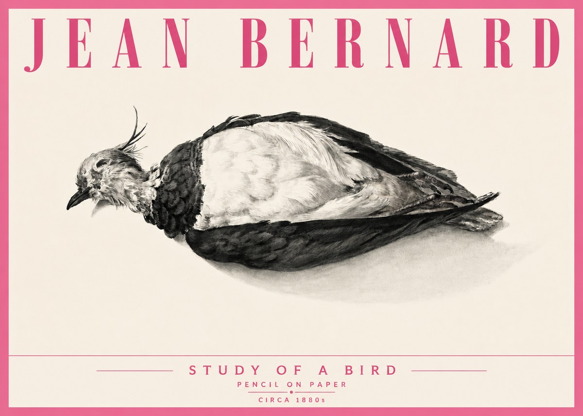 Jean Bernard Study of a Bird II No6 - Poszter