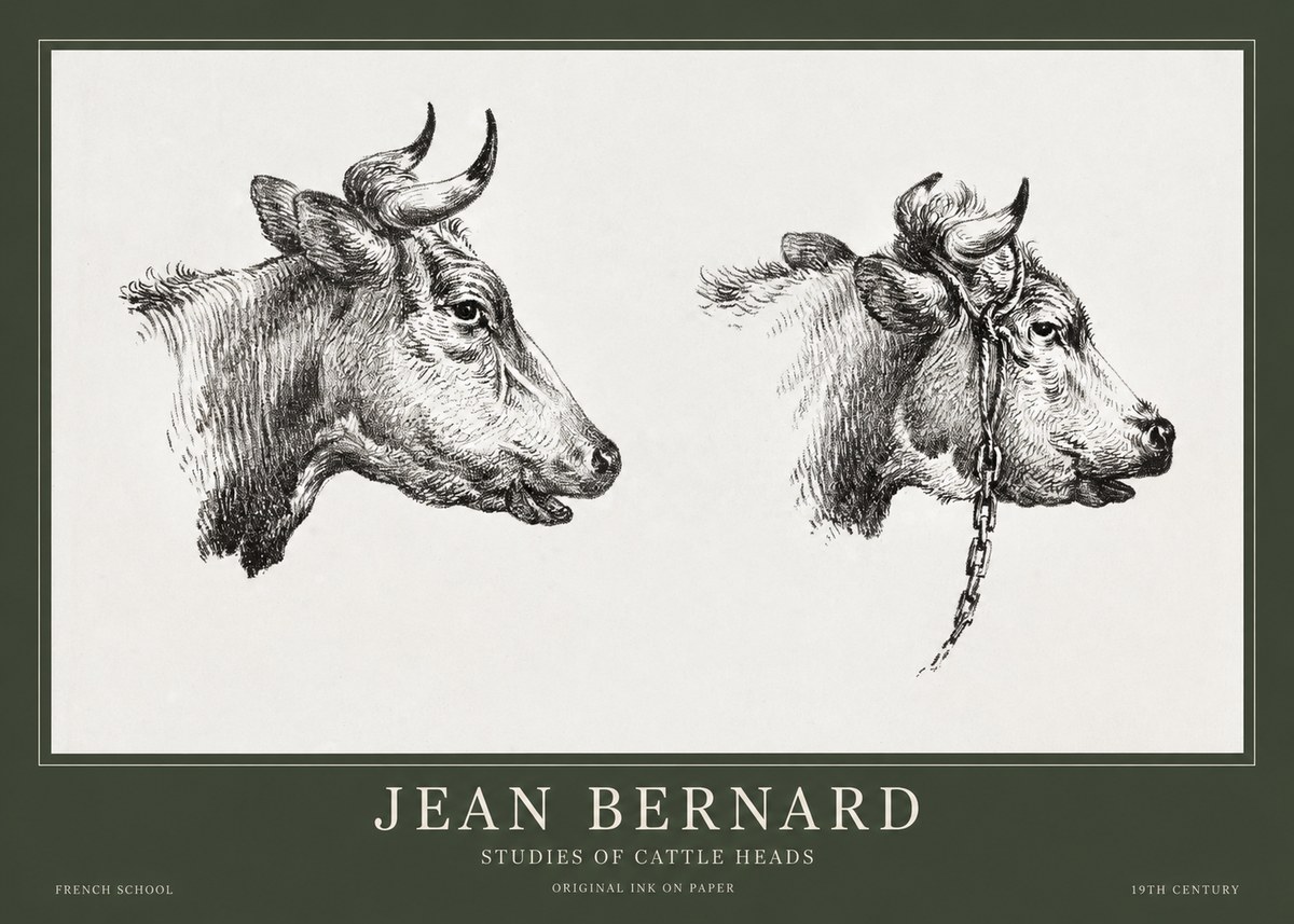 Jean Bernard Studies of Cattle Heads No1 - Poszter