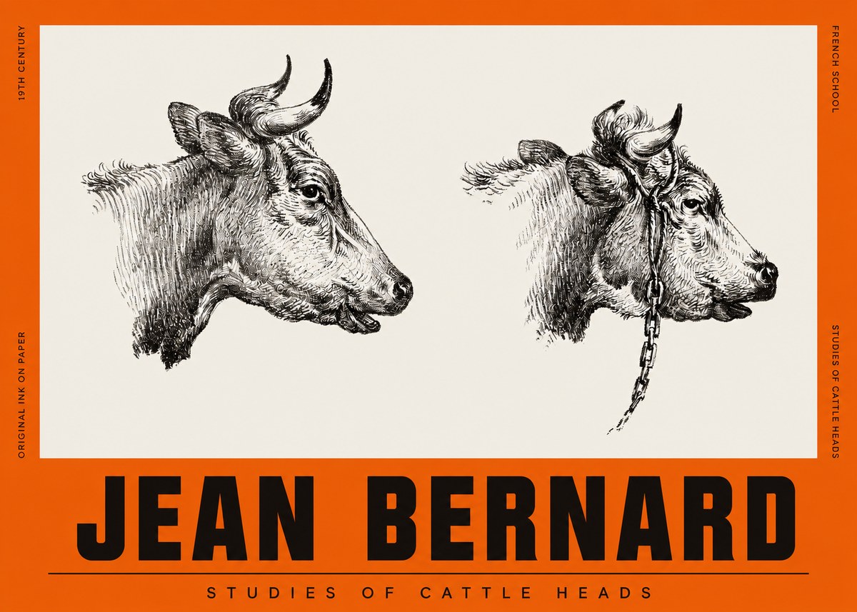 Jean Bernard Studies of Cattle Heads No2 - Poszter