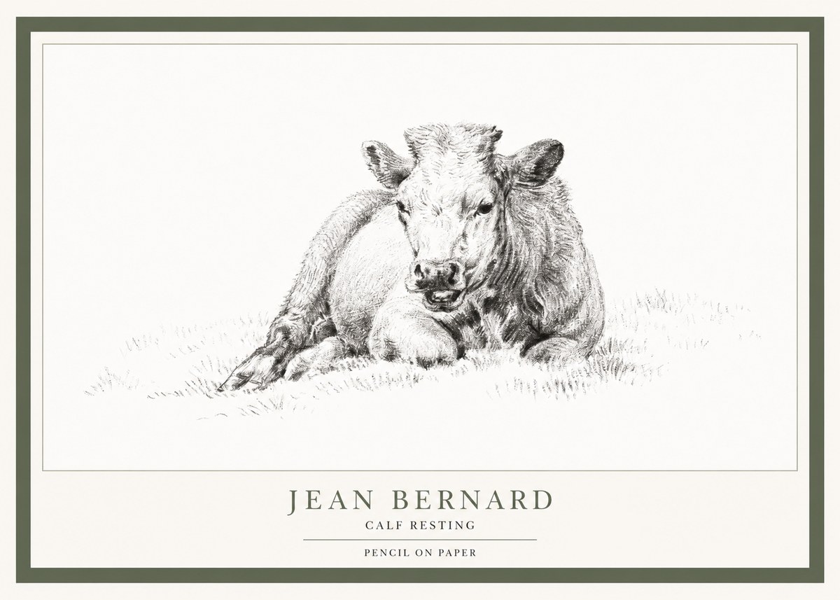 Jean Bernard Calf Resting No1 - Poszter