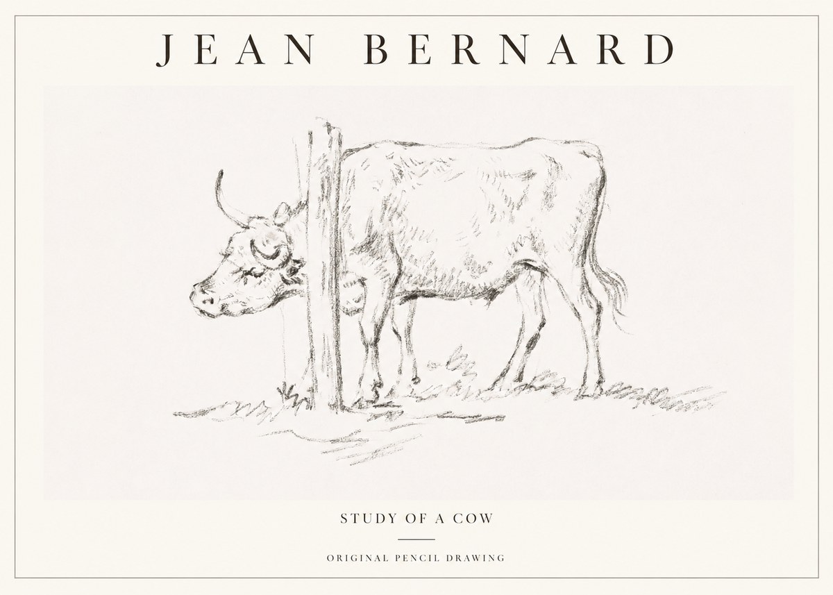 Jean Bernard Study of a Cow VII No1 - Poszter