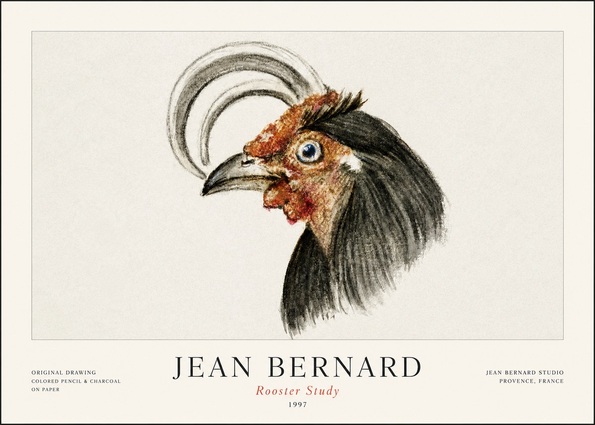 Jean Bernard Rooster Study No1 - Poszter
