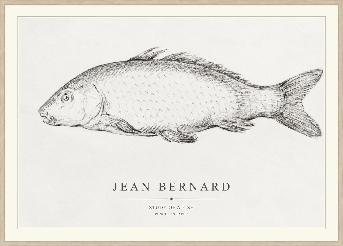 Jean Bernard Study of a Fish III No1 - Poszter