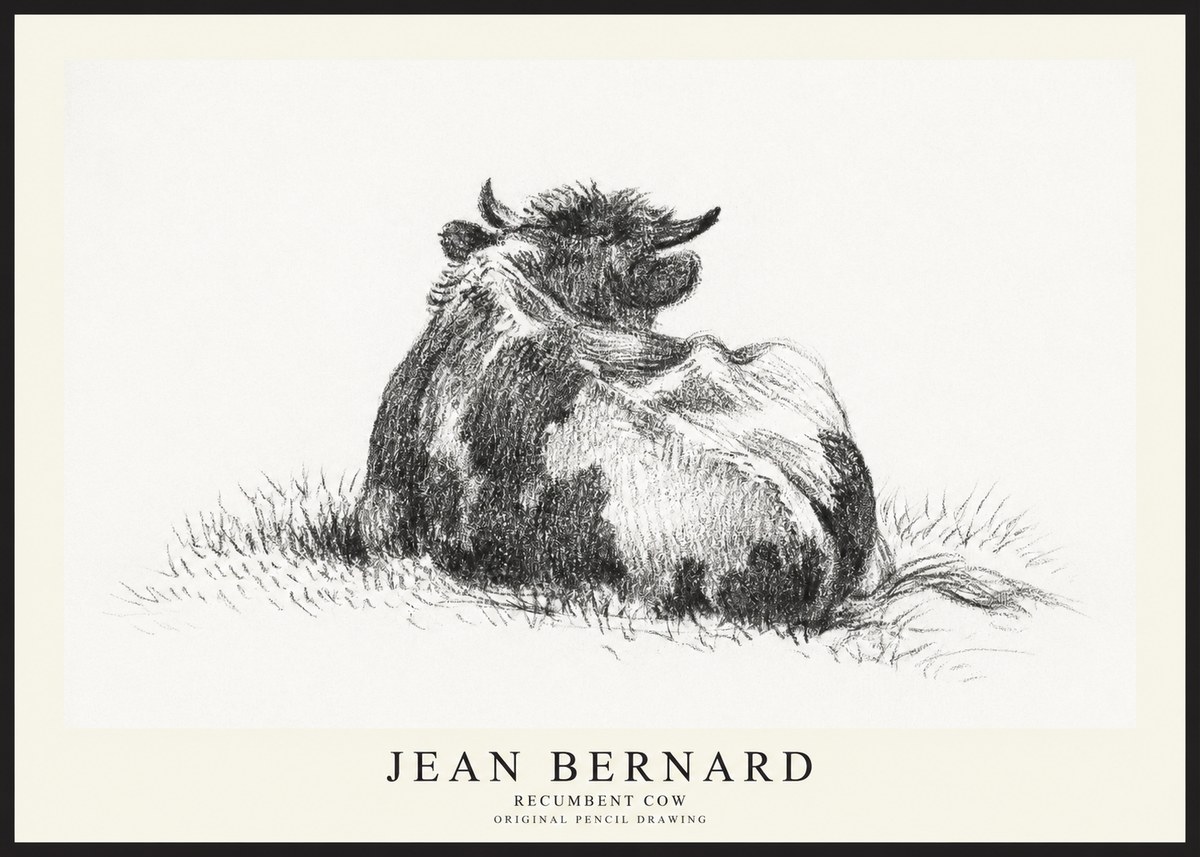 Jean Bernard Resting Highland Cow No3 - Poszter